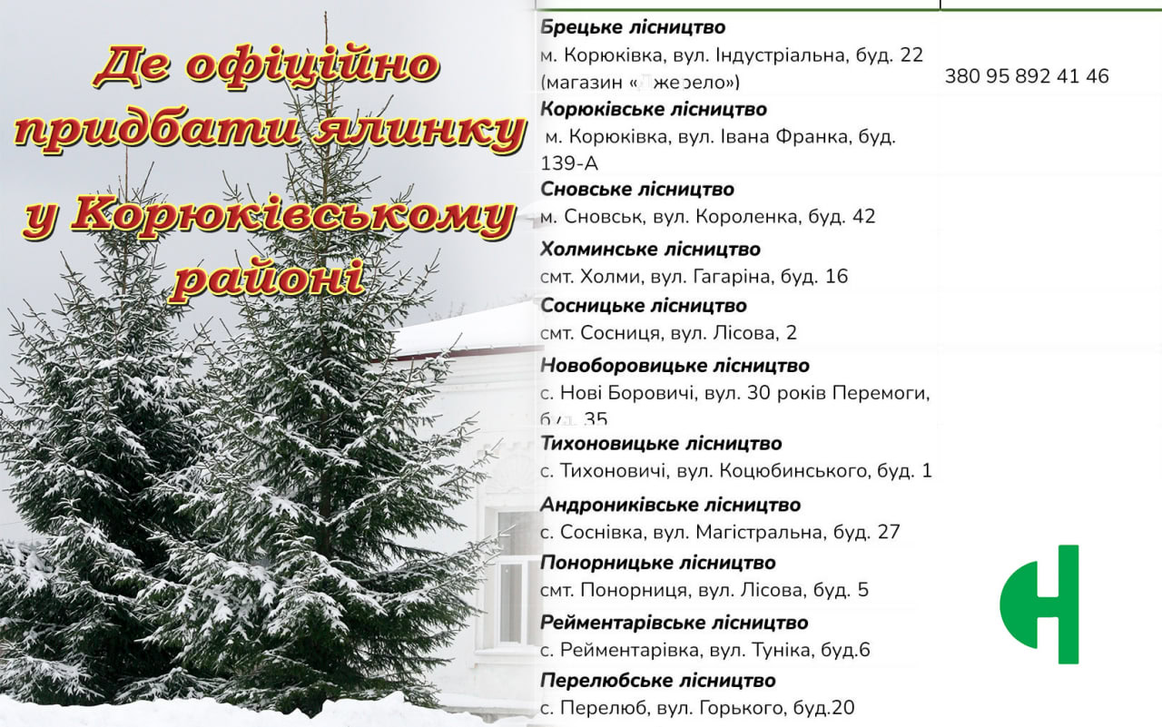 Де у Корюківському районі можна офіційно купити ялинки?