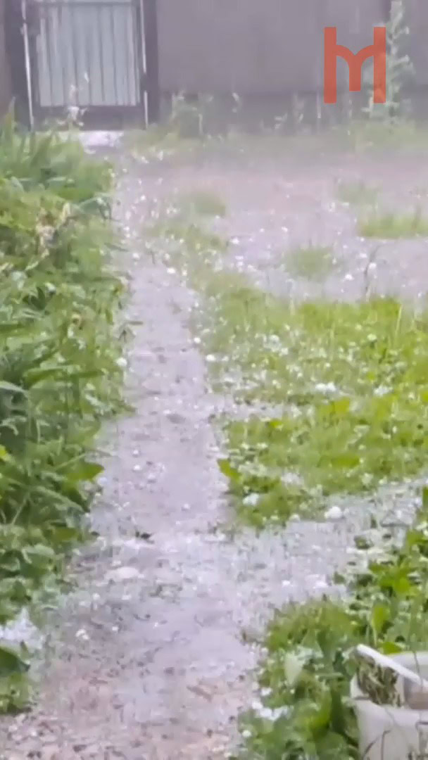 ЩО ТАМ У СУСІДІВ. Негода у Мені