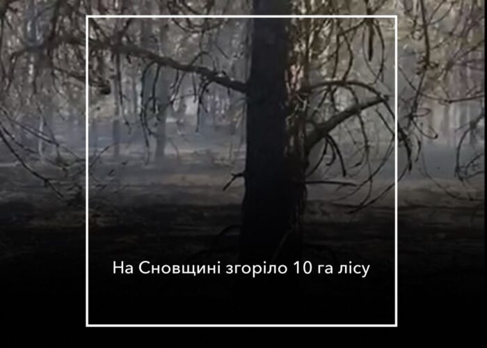 У Сновській громаді згорів ліс: хто за це відповість?