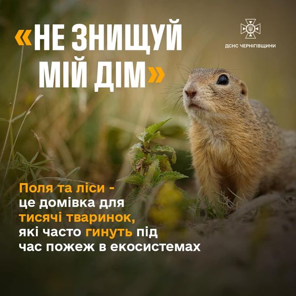 Високий рівень пожежної небезпеки