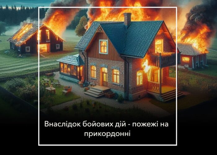 Через влучання згорів будинок
