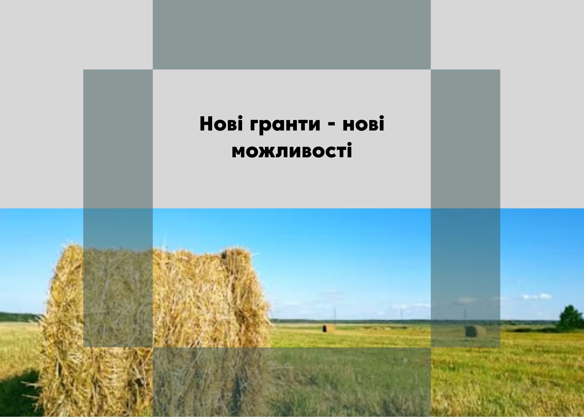 <strong>💰Гранти та можливості для розвитку: вибір актуальних пропозицій</strong>