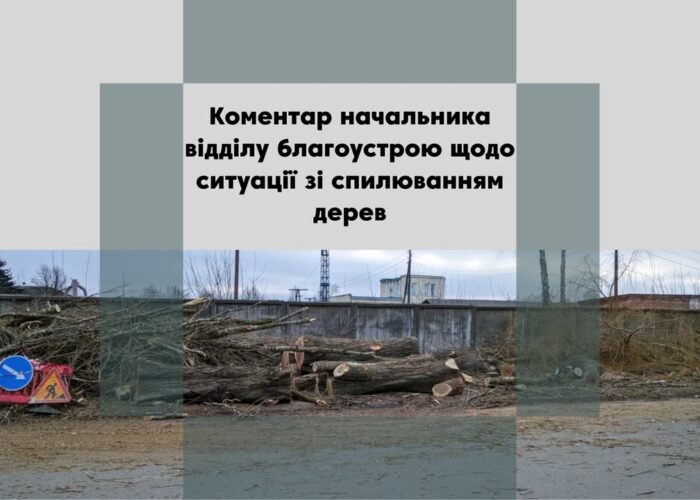 Вирубка дерев у Сосновську: у міськраді розповіли, що висадять замість вирубленої тополі