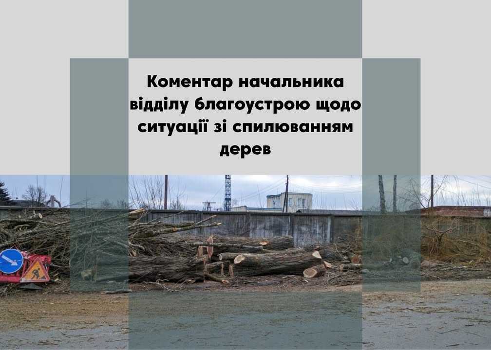 Вирубка дерев у Сосновську: у міськраді розповіли, що висадять замість вирубленої тополі
