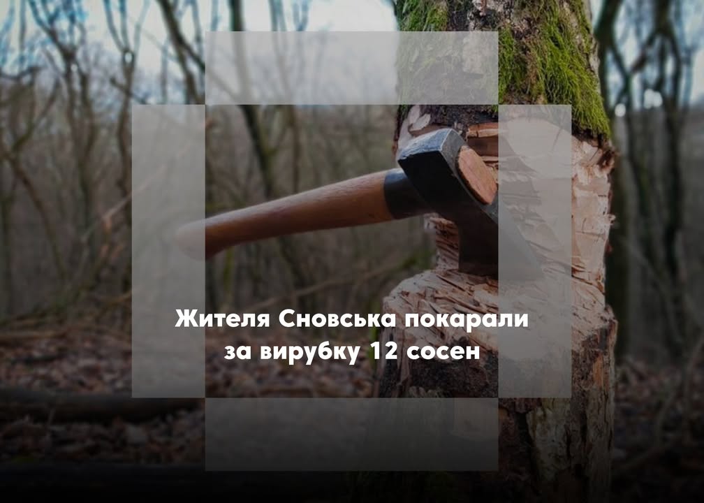На Сновщині засудили чоловіка за незаконну порубку дерев