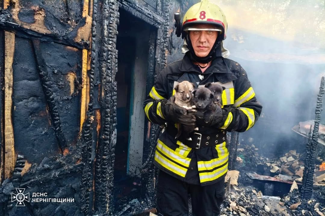 Пожежа у житловому будинку в Кучинівці: рятувальники врятували трьох цуценят