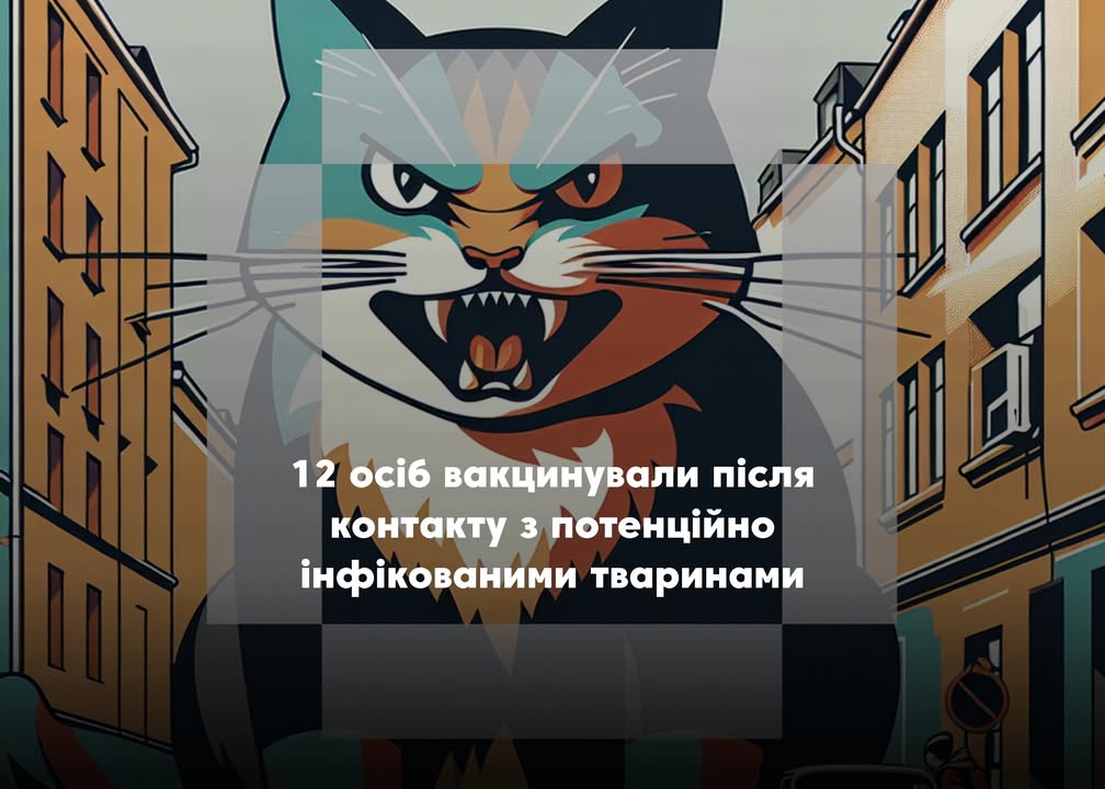 У Нових Боровичах відкрито неблагополучний пункт через сказ тварин