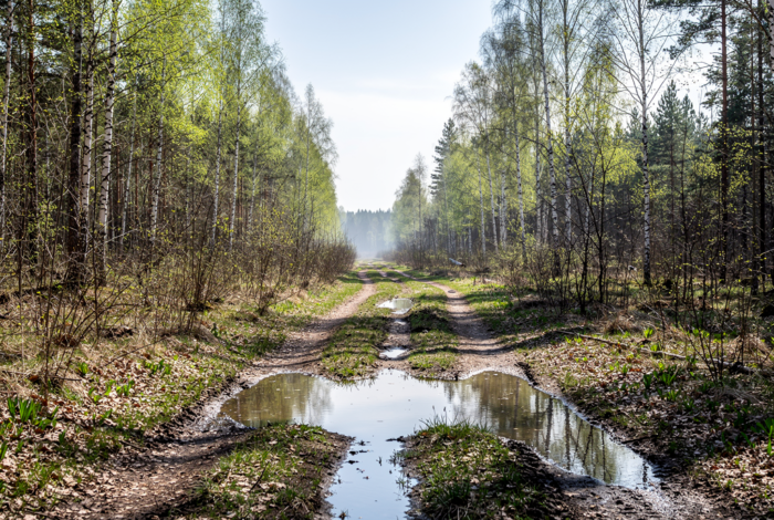 Погода у Сновську на 17.04.2026