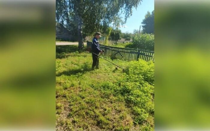 У селах Сновської громади знищують алергенну амброзію