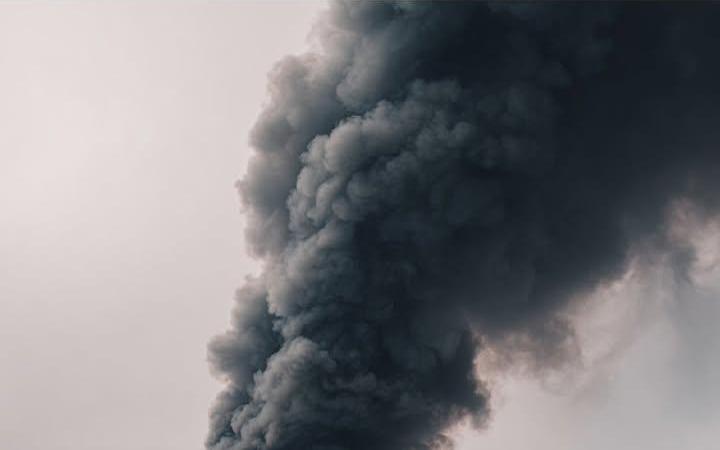 У Сновській громаді внаслідок обстрілу ферми загинули 50 свиней